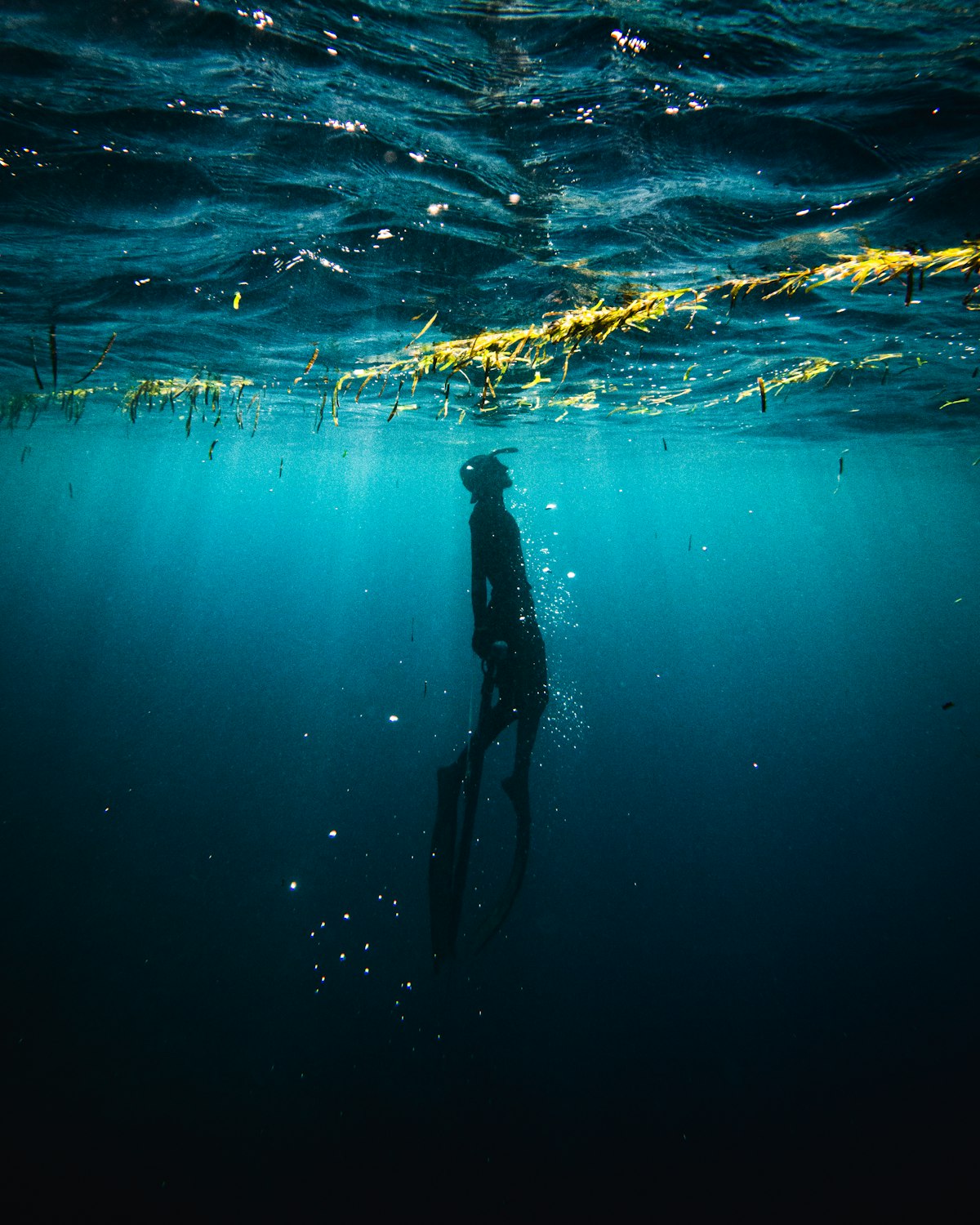 自由潛水員在深藍海水中上升